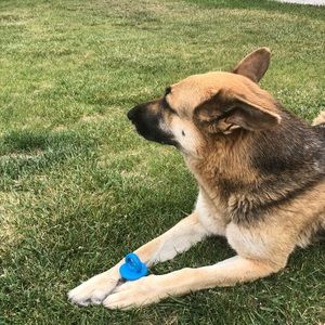 Meet your Posher, Luz